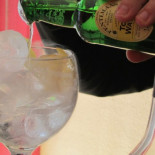 Crean vida por accidente mientras preparaban un gintónic