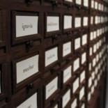 La lengua española se alía con Wikipedia