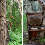 21 fotos de la naturaleza venciendo a la civilización