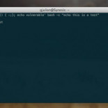 Shellshock - La nueva vulnerabilidad para OS X y Linux calificada 10/10