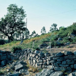 Castros de Penalba y Troña: El culto a la serpiente en Galicia