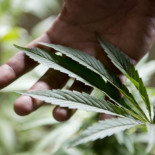 Abandonan desnudos en el bosque a tres menores tras pegarles y amenazarles