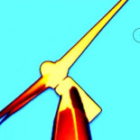 Los murciélagos confunden los aerogeneradores con árboles