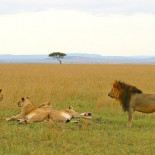 “Yo tenía una tarjeta en Bankia...” (Memorias de Bankia) (OPINION)