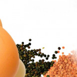 Intoxicados los asistentes a un congreso de seguridad alimentaria