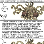 El ciclo de la vida no es todo hakuna matata...