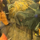 Una pesca inesperada [Rus]