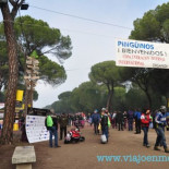 Pingüinos 2015 suspendida