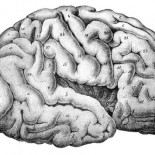 Esto es lo que se siente cuando desarrollas esquizofrenia aguda