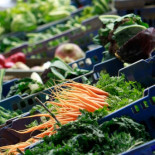 Los vegetarianos tienen recuentos de espermatozoides mucho más bajos