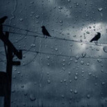 ¿Es verdad que internet se ralentiza cuando llueve?