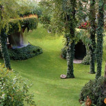 La casa orgánica (galería de imágenes)