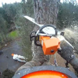 Así se corta un árbol enorme por partes con la técnica "speed line"