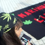 El debate sobre el cánnabis se hace un hueco en el Congreso