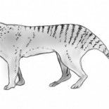 Están desapareciendo especies que ni siquiera sabremos que han existido