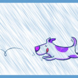 56 puntos para triangular