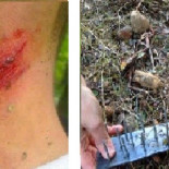 Ponen trampas mortales para ciclistas en toda España (fotos)