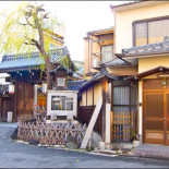 La naturaleza y las flores en el mundo de las geishas