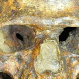 Confirman la existencia de una población humana desconocida