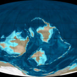Los genes revelan la gran historia de los insectos