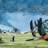 Así murió Martha, la última paloma de su especie: sola y disecada