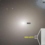 Científico argentino descubrió el primer agujero negro del que nacen estrellas