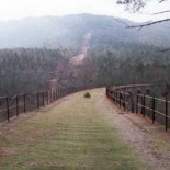 Aislada una pedanía de Ciudad Real para poder hacer una montería de caza