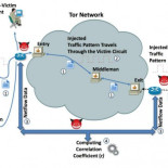 Una investigación indica que el 81 % de los usuarios de tor, no son anónimos gracias al análisis del router [ENG]