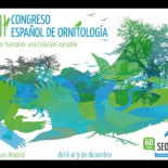 El CSIC lanza ARBOLAPP: una aplicación gratuita para identificar árboles