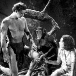 Stalin, Tarzán y el deshielo soviético