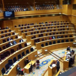 Imagen del debate en el Senado sobre Desahucios