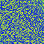 Una tarde en el DIPC