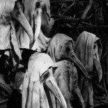 La medicina del pasado a través de 26 escalofriantes fotos históricas