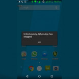 Una vulnerabilidad permite bloquear el WhatsApp de un amigo con un mensaje