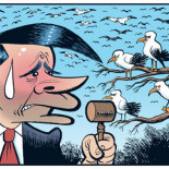 Los pájaros (Viñeta de Vergara)