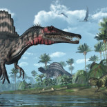 10 mitos sobre los dinosaurios que son completamente falsos