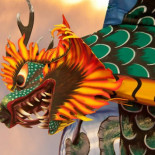 La mujer que veía dragones por todas partes