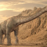 Encuentran gran parte del esqueleto de un titanosaurio en Lleida