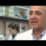 Bacterias no cultivables: llevamos más de 120 años preparando mal los medios de cultivo