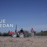 Los que se quedan: el impacto de la crisis en la salud mental de la población española