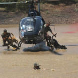 Guardas forestales matan a tres cazadores de rinocerontes en Sudáfrica