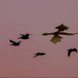 ¿Cómo Neal Stephenson está ayudando a hacer Metaverso una realidad? Snow Crash (Eng)