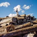 El hombre que eligió el bosque y lo asesinaron