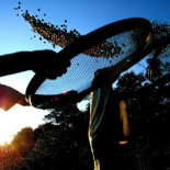 El ser humano perdió un 20% de densidad ósea debido a la agricultura