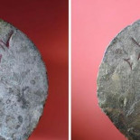 Una moneda prueba la presencia mallorquina en Canarias antes de la conquista