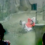 Intenta suicidarse tirándose a una jaula de tigres y éstos le ignoran