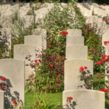 Las muertes tecnológicas en 2014