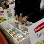 Una falta de bacterias puede ser la culpable del aumento de peso