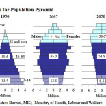 Apatía sexual de Japón está poniendo en peligro la economía mundial [EN]