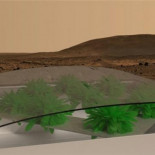 No es broma: Antes de colonizar Marte deberíamos lograr plantar lechugas allí